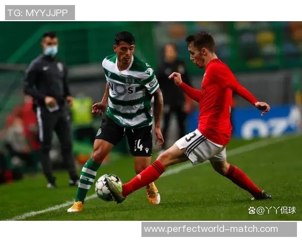 德甲激战本菲卡与波尔图战成平局乌龙球引发全场狂欢与十大精彩进球回顾